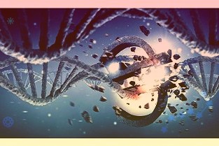 大灣區(qū)首個光儲充檢放一體化智能超充站正式投運